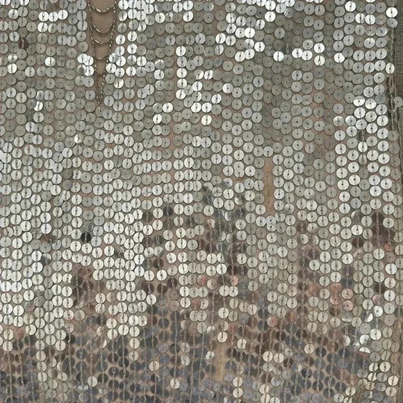 Haute Hippie XS Silver Sequence dress - Picture 12 of 12